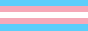 An 88x31 button. It is the trans flag